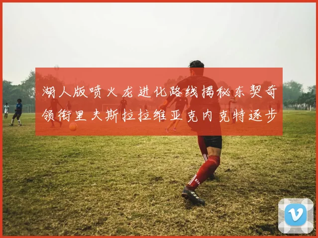 湖人版喷火龙进化路线揭秘东契奇领衔里夫斯拉拉维亚克内克特逐步崛起