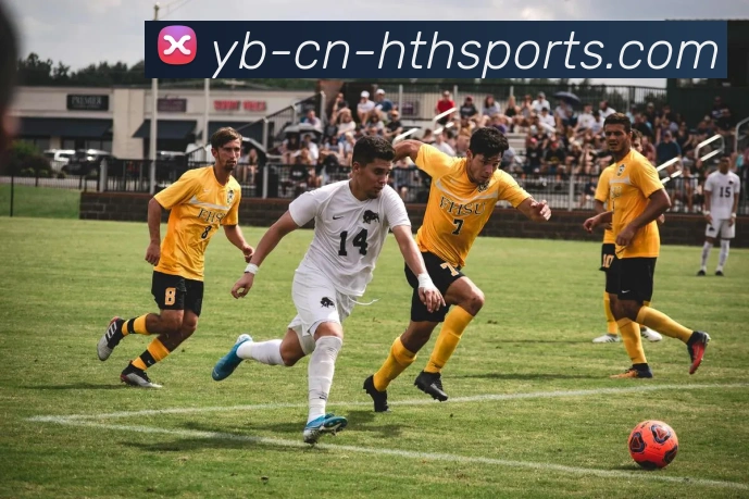 华体会体育服务体系